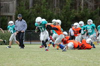 Dare County Football Dolphins versus Broncos 10/22/16